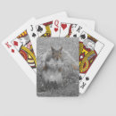Recherche de écureuil jeux de cartes Nature