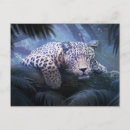 Recherche de animaux tropicaux de forêt tropicale cartes postales Léopard