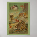 Recherche de anémone posters Vie