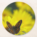 Recherche de marguerite dessous de verres Floraison