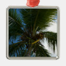 Recherche de cocotier ornements Tropical