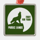 Recherche de loup ornements Nature