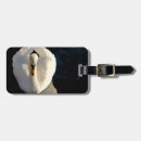 Recherche de réflexion accessoires Oiseau