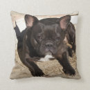 Recherche de french bulldog coussins Drôle