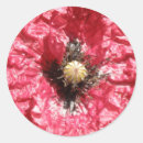 Recherche de papaver autocollants Fleur