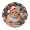 Recherche de humour chat de ustensiles cuisine Noël