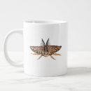 Recherche de tzigane tasses Papillon