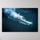 Recherche de piscine art Plongeur