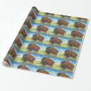Recherche de bison américain papier cadeau Faune