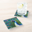 Recherche de peacock dessous de verres Oiseau