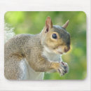 Recherche de amical tapis souris Nature