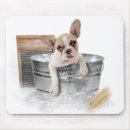 Recherche de bûcheron tapis souris Chiot