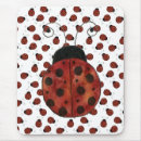 Recherche de petite coccinelle tapis souris Insecte de dame