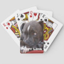 Recherche de nez jeux de cartes Chien