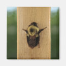 Recherche de gaffez magnets Abeille