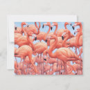 Recherche de flamants vœux cartes Vacances