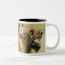 Recherche de lion masculin Horizontal