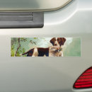 Recherche de chien chasse voiture autocollants Chiot