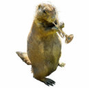 Recherche de chien photo sculptures Drôle