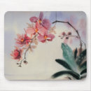 Recherche de phalaenopsis tapis souris Orchidée