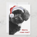 Recherche de de chien noël invitations Toute personne
