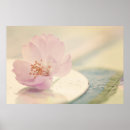Recherche de fleurs de cerisier japonaises posters Fleur japonaise