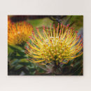 Recherche de poussins puzzles Toute personne