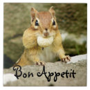 Recherche de trépied photographie Nature