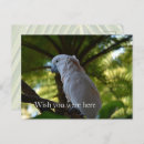 Recherche de bird cartes postales Arbre