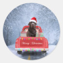 Recherche de labrador chocolat autocollants Noël