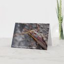 Recherche de insecte vœux cartes Bogues