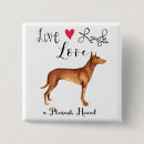 Recherche de hound badges Chien
