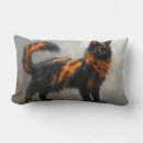 Recherche de maine coon coussins Animal de compagnie