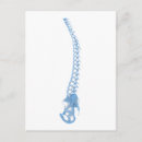 Recherche de sacrum Squelette