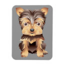 Recherche de yorkshire terrier magnets Dog