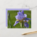 Recherche de pourpre cartes postales Pour elle