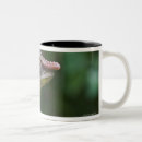 Recherche de cameleon tasses Animal