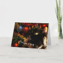 Recherche de salutation de chaton Bonnes fêtes
