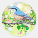 Recherche de oiseau autocollants Fleurs