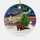 Recherche de furet ornements De