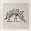 Recherche de fossiles puzzles Dinosaure
