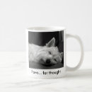 Recherche de chien westie tasses Blanc