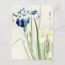 Recherche de peinture florale cartes postales Iris