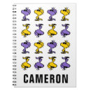 Recherche de lunettes soleil carnets Charlie brune