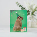 Recherche de boxeur cartes postales Bizarre