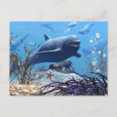 Recherche de coffre cartes postales Mer