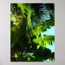 Recherche de feuille de banane posters Tropical