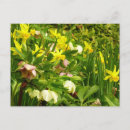 Recherche de lentille cartes postales Printemps