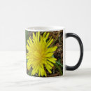 Recherche de pissenlits tasses Café