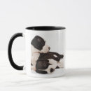 Recherche de harlequin great dane Chien